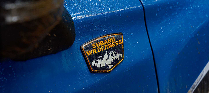 Subaru Forester Wilderness Donanım Detayları